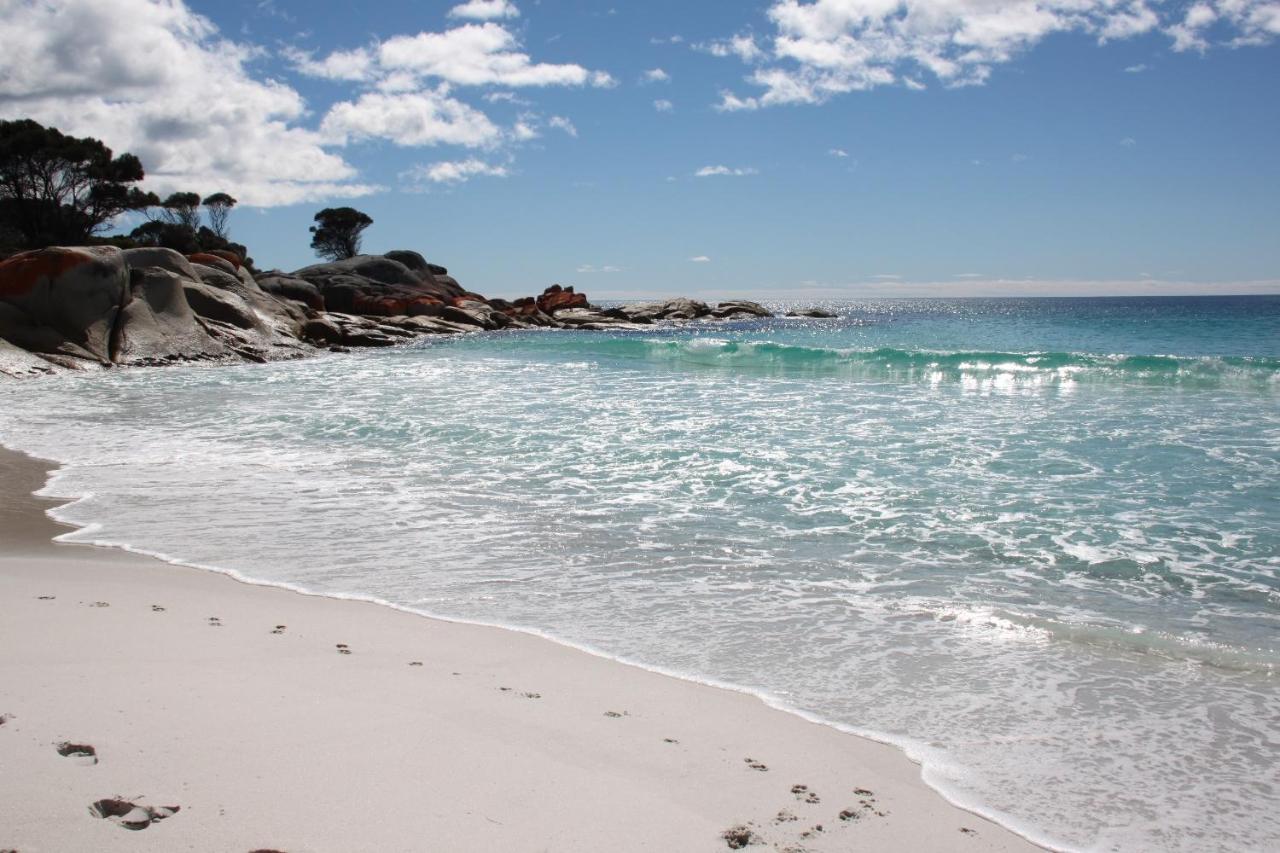 Binalong Beach Cottage Beachfront At Bay Of Fires Next To Restaurant Binalong Bay Luaran gambar